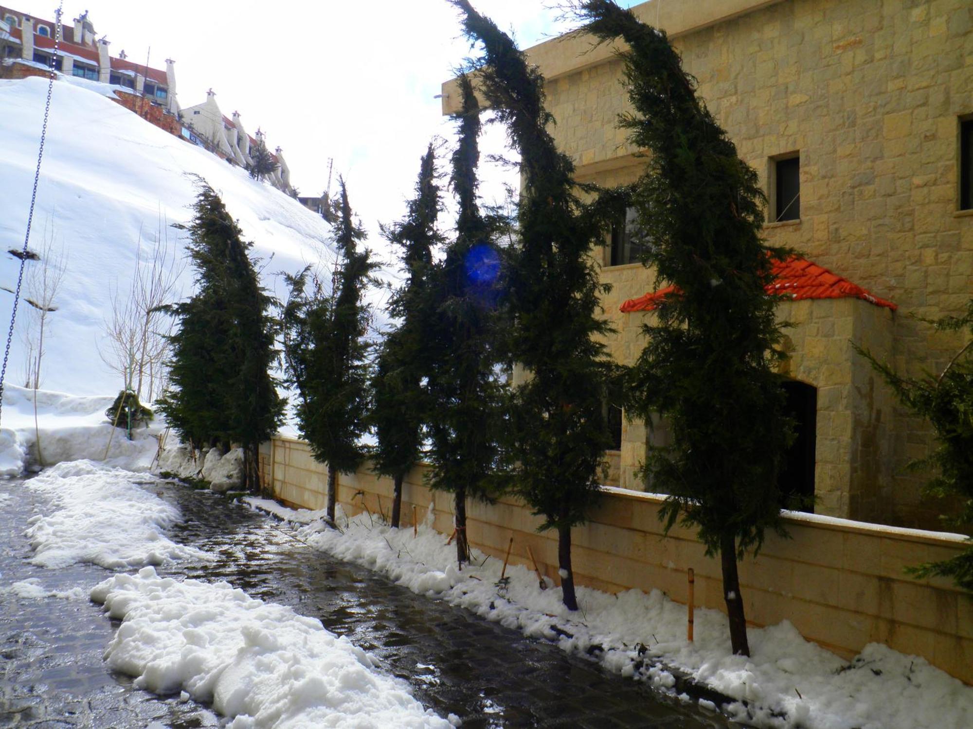 Fārayyā Stone Chalets מראה חיצוני תמונה